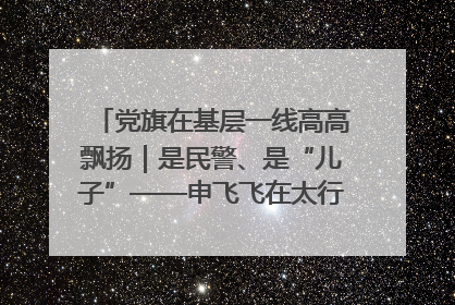 党旗在基层一线高高飘扬｜是民警、是“儿子”——申飞飞在太行山中的一线坚守