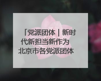 党派团体｜新时代新担当新作为 北京市各党派团体这么干！