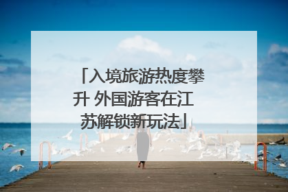 入境旅游热度攀升 外国游客在江苏解锁新玩法