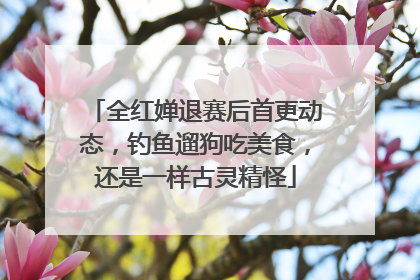 全红婵退赛后首更动态，钓鱼遛狗吃美食，还是一样古灵精怪