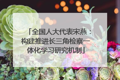 全国人大代表宋燕：构建推进长三角检察一体化学习研究机制