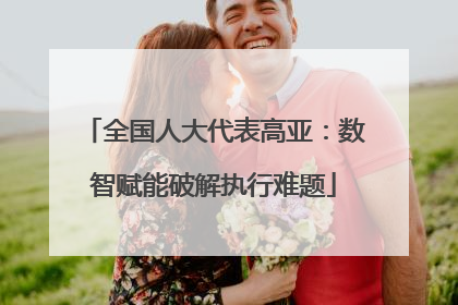 全国人大代表高亚：数智赋能破解执行难题