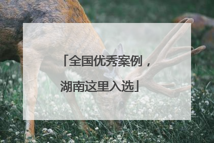 全国优秀案例，湖南这里入选