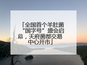 全国首个羊肚菌“国字号”盛会启幕，天府菌都交易中心开市