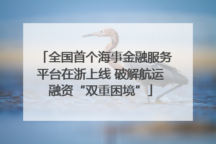 全国首个海事金融服务平台在浙上线 破解航运融资“双重困境”