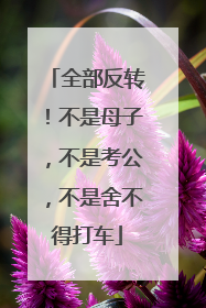 全部反转！不是母子，不是考公，不是舍不得打车