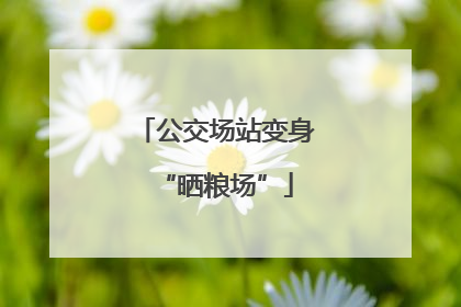 公交场站变身“晒粮场”