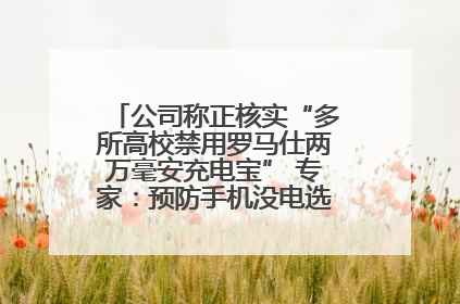 公司称正核实“多所高校禁用罗马仕两万毫安充电宝” 专家：预防手机没电选中等体积产品即可