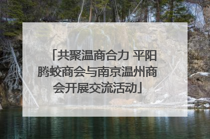 共聚温商合力 平阳腾蛟商会与南京温州商会开展交流活动
