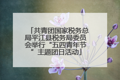共青团国家税务总局平江县税务局委员会举行“五四青年节”主题团日活动