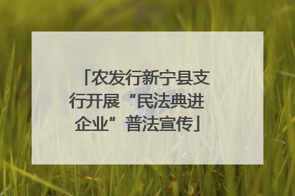 农发行新宁县支行开展“民法典进企业”普法宣传