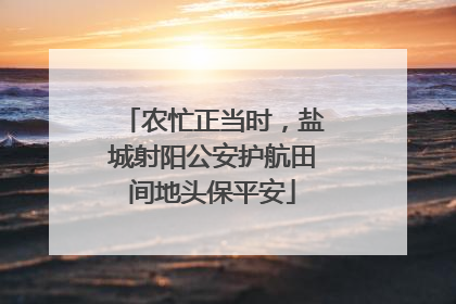 农忙正当时，盐城射阳公安护航田间地头保平安