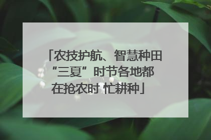 农技护航、智慧种田 “三夏”时节各地都在抢农时 忙耕种