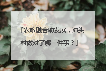 农旅融合助发展，潭头村做对了哪三件事？