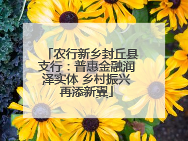 农行新乡封丘县支行：普惠金融润泽实体 乡村振兴再添新翼