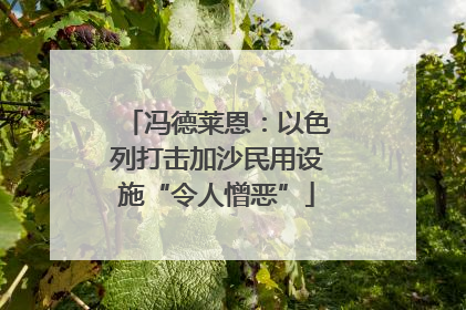冯德莱恩：以色列打击加沙民用设施“令人憎恶”