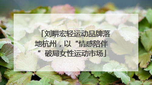 刘畊宏轻运动品牌落地杭州，以“情感陪伴”破局女性运动市场