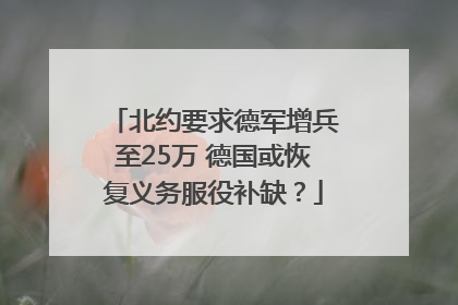 北约要求德军增兵至25万 德国或恢复义务服役补缺？