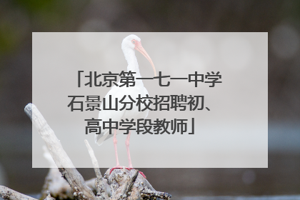 北京第一七一中学石景山分校招聘初、高中学段教师