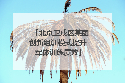 北京卫戍区某团创新组训模式提升军体训练质效