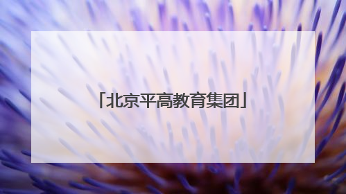 北京平高教育集团
