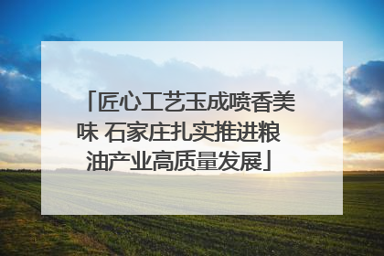 匠心工艺玉成喷香美味 石家庄扎实推进粮油产业高质量发展