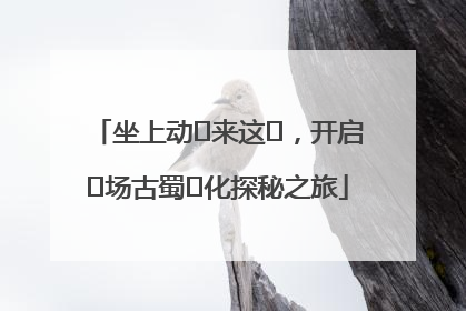 坐上动⻋来这⾥，开启⼀场古蜀⽂化探秘之旅