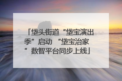 垡头街道“垡宝演出季”启动 “垡宝治家”数智平台同步上线