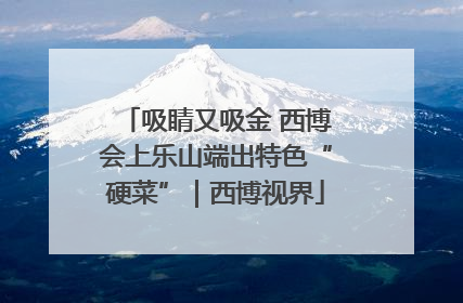 吸睛又吸金 西博会上乐山端出特色“硬菜”｜西博视界