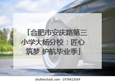 合肥市安庆路第三小学大杨分校：匠心筑梦 护航毕业季
