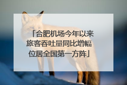 合肥机场今年以来旅客吞吐量同比增幅位居全国第一方阵