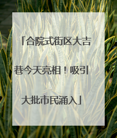 合院式街区大吉巷今天亮相！吸引大批市民涌入
