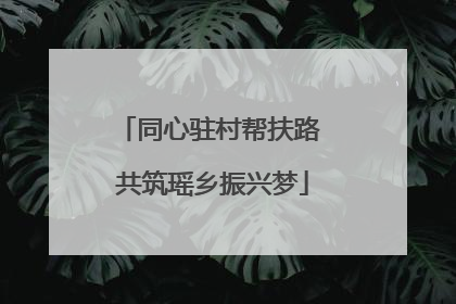 同心驻村帮扶路 共筑瑶乡振兴梦
