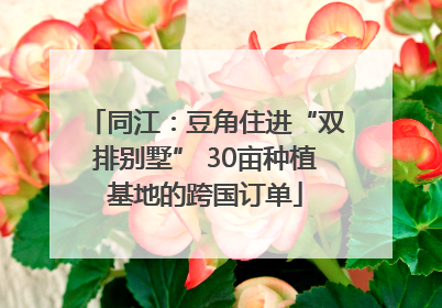 同江：豆角住进“双排别墅” 30亩种植基地的跨国订单