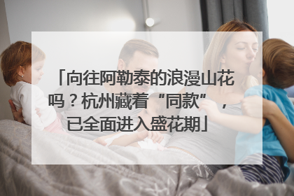 向往阿勒泰的浪漫山花吗？杭州藏着“同款”，已全面进入盛花期