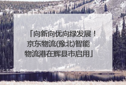 向新向优向绿发展！京东物流(豫北)智能物流港在辉县市启用