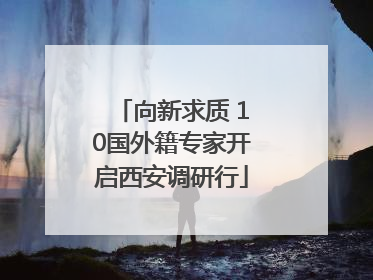 向新求质 10国外籍专家开启西安调研行