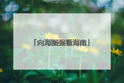 向海图强看海南