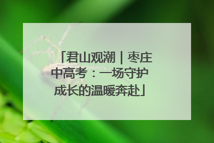 君山观潮｜枣庄中高考：一场守护成长的温暖奔赴