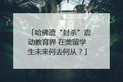 哈佛遭“封杀”震动教育界 在美留学生未来何去何从？