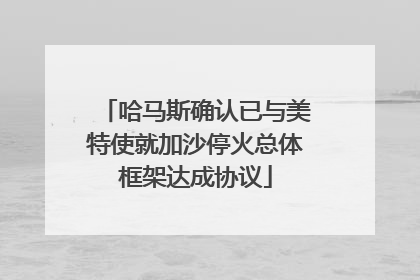 哈马斯确认已与美特使就加沙停火总体框架达成协议
