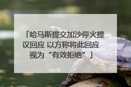 哈马斯提交加沙停火提议回应 以方称将此回应视为“有效拒绝”