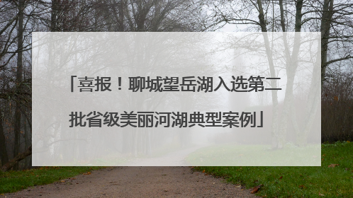 喜报！聊城望岳湖入选第二批省级美丽河湖典型案例
