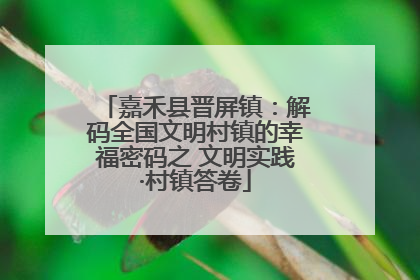 嘉禾县晋屏镇：解码全国文明村镇的幸福密码之 文明实践·村镇答卷