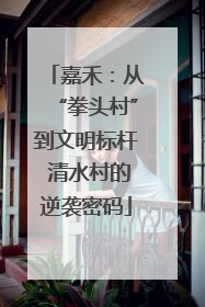 嘉禾：从“拳头村”到文明标杆 清水村的逆袭密码