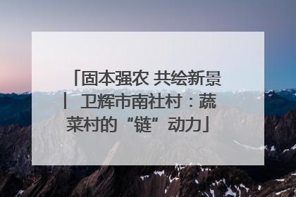 固本强农 共绘新景 ︳卫辉市南社村：蔬菜村的“链”动力