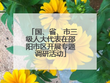 国、省、市三级人大代表在邵阳市区开展专题调研活动