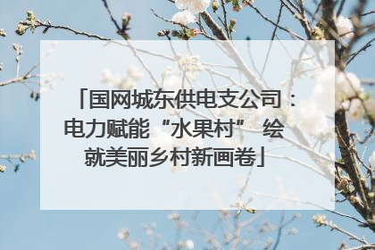 国网城东供电支公司：电力赋能“水果村” 绘就美丽乡村新画卷