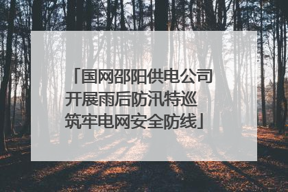 国网邵阳供电公司开展雨后防汛特巡 筑牢电网安全防线