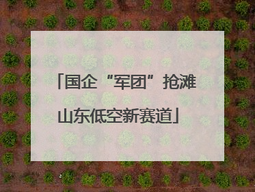 国企“军团”抢滩山东低空新赛道